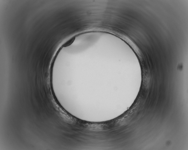 X0000099551004200806061512