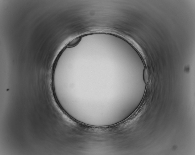 X0000099551005200806061512