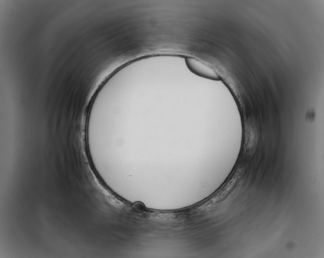 X0000099551006200806061512