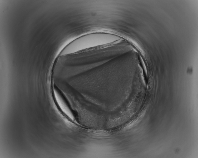 X0000099551007200806061512