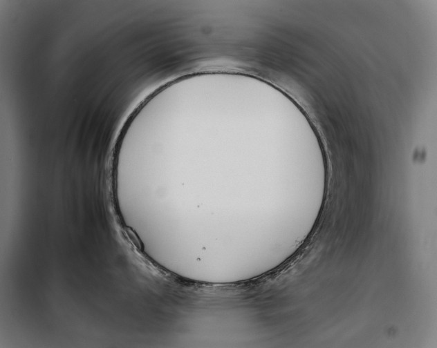 X0000099551008200806061512