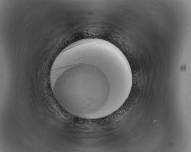 X0000099551009200806061511