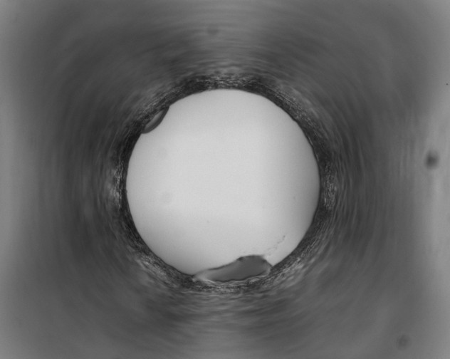 X0000099551010200806061511