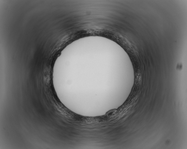 X0000099551012200806061511