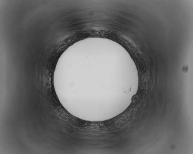 X0000099551013200806061511