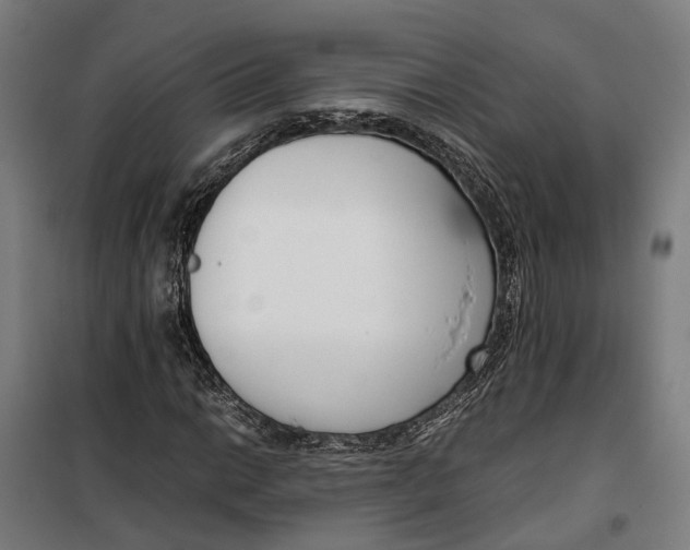 X0000099551014200806061512