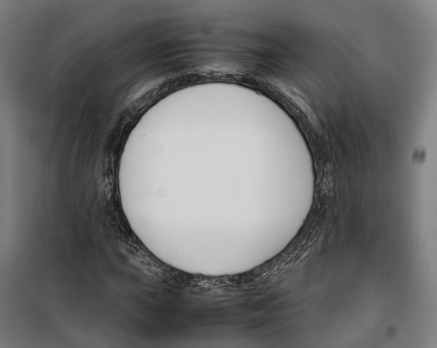 X0000099551015200806061512