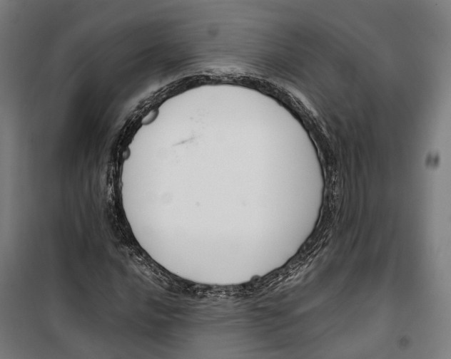 X0000099551016200806061512