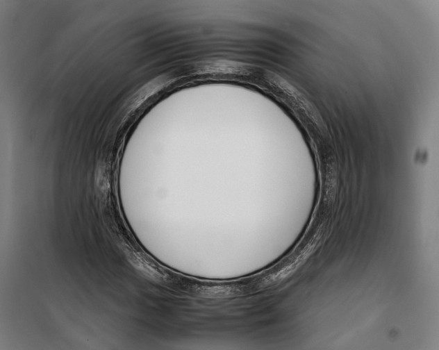 X0000099551017200806061512