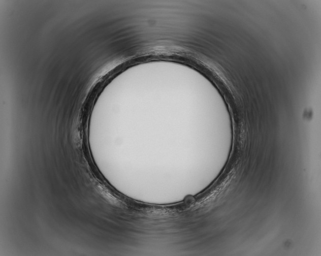 X0000099551018200806061512