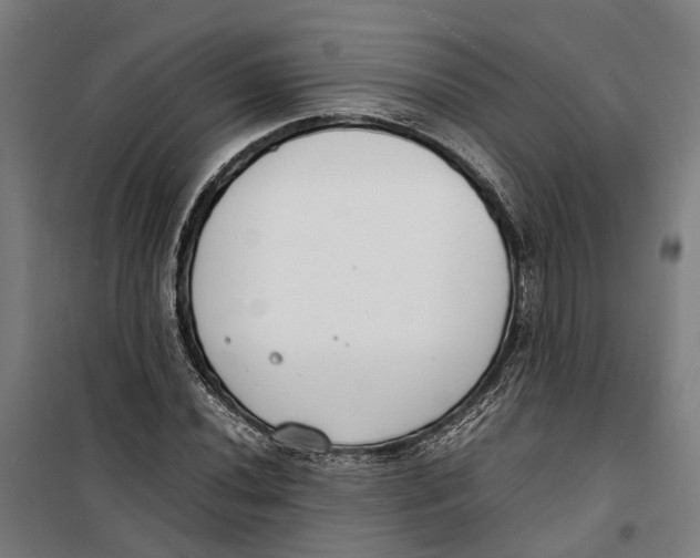 X0000099551020200806061512