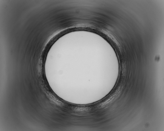 X0000099551021200806061512