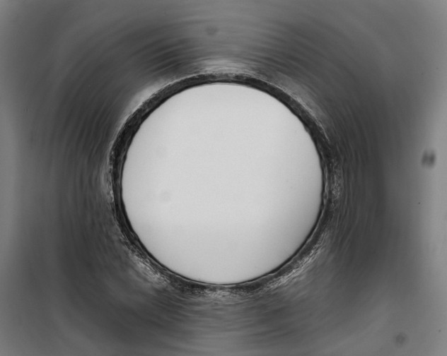 X0000099551022200806061512