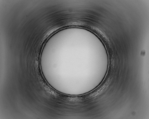 X0000099551025200806061512