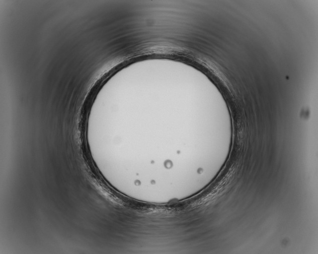 X0000099551026200806061512