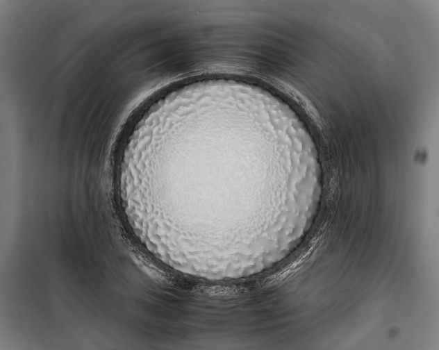 X0000099551027200806061512