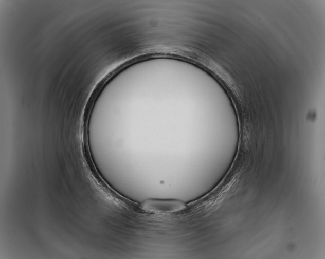 X0000099551028200806061512