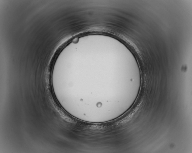 X0000099551029200806061512