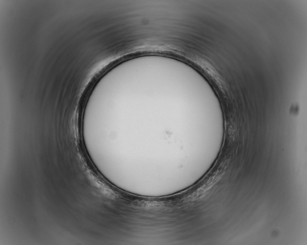 X0000099551030200806061512