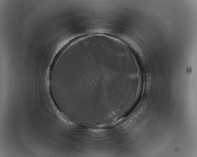 X0000099551031200806061512