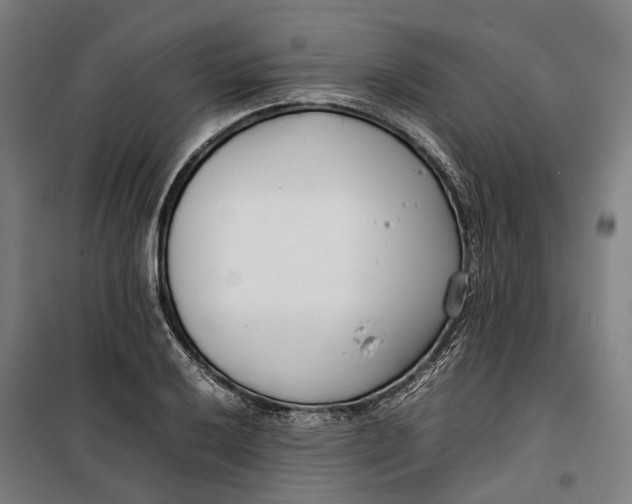 X0000099551032200806061512