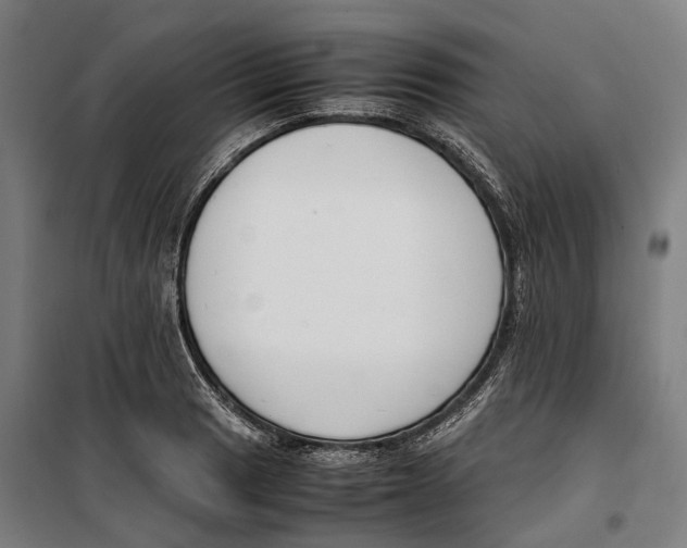 X0000099551033200806061512