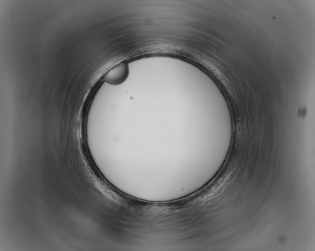 X0000099551034200806061512