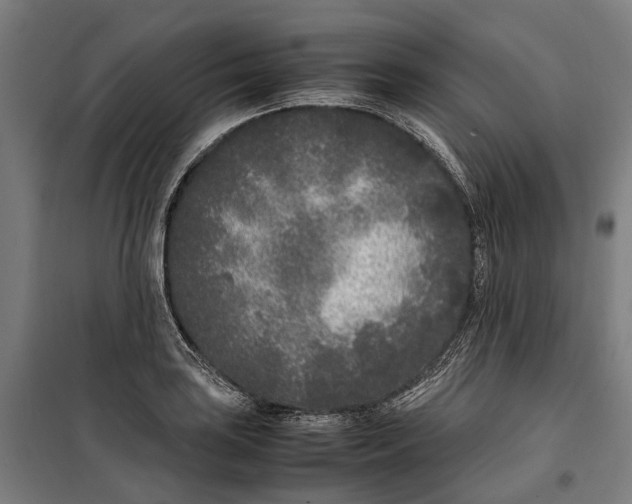 X0000099551035200806061512