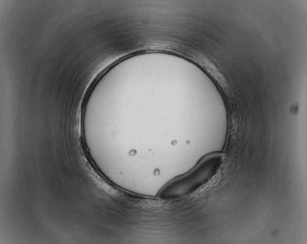 X0000099551036200806061512