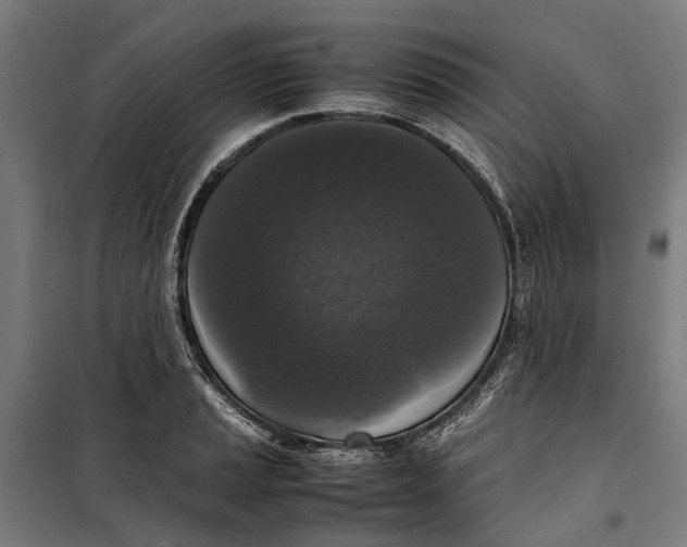 X0000099551037200806061512