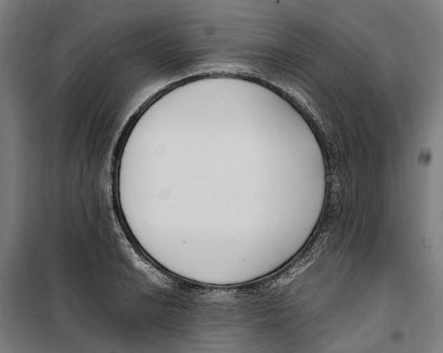 X0000099551038200806061512