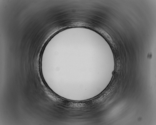 X0000099551039200806061512