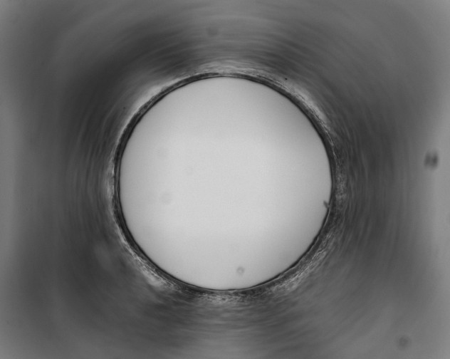 X0000099551040200806061512