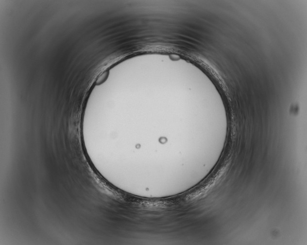 X0000099551041200806061512