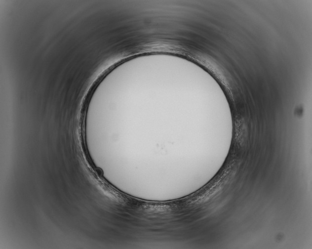 X0000099551043200806061512