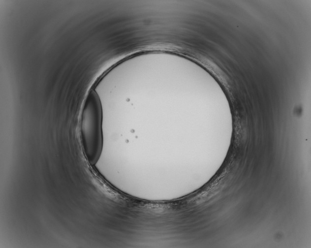 X0000099551044200806061512