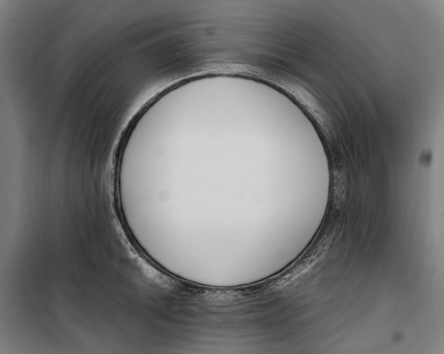 X0000099551046200806061512