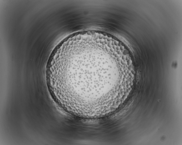 X0000099551047200806061512