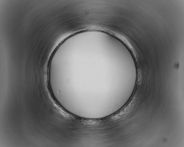 X0000099551048200806061512