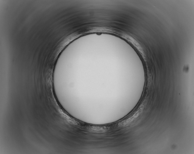 X0000099551049200806061512