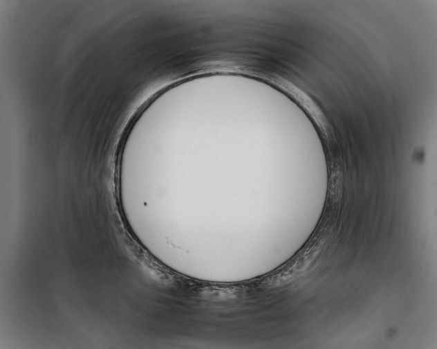 X0000099551051200806061512