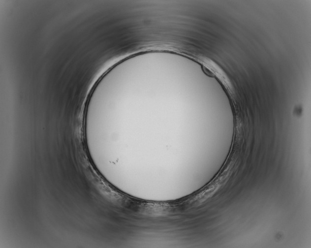 X0000099551052200806061512