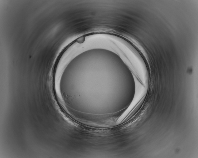 X0000099551053200806061512