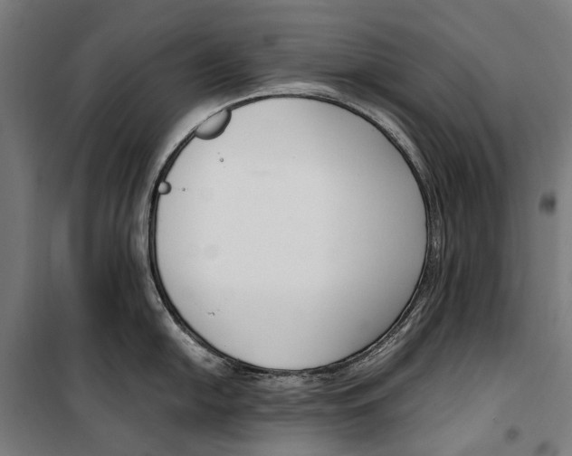 X0000099551054200806061512