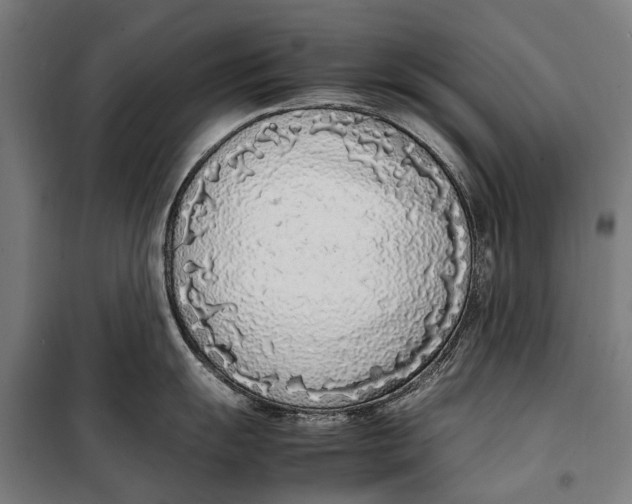 X0000099551055200806061512