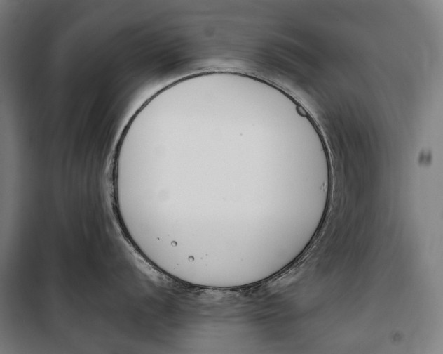 X0000099551056200806061512