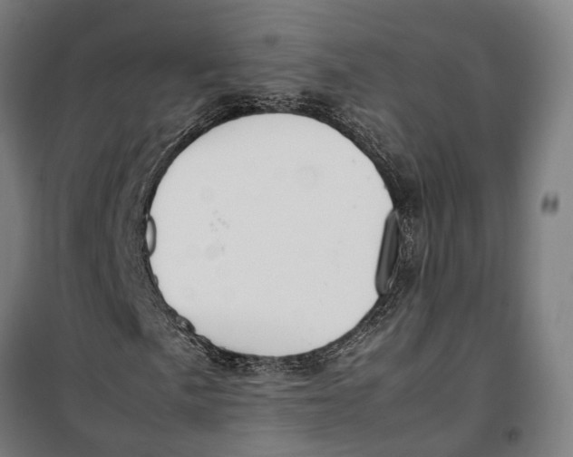 X0000099551057200806061511