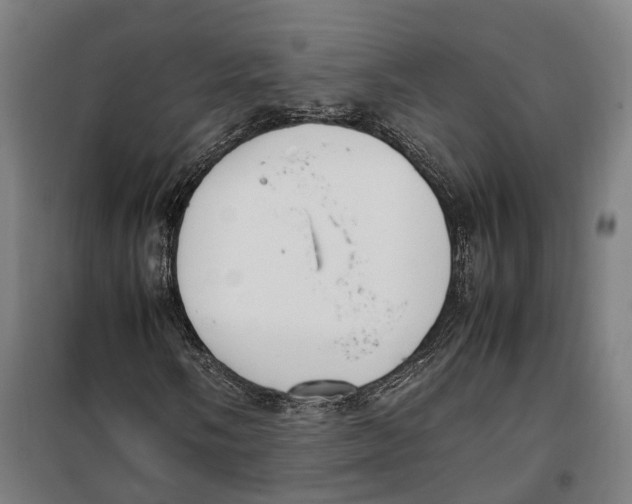 X0000099551058200806061511