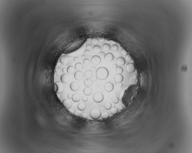 X0000099551059200806061511