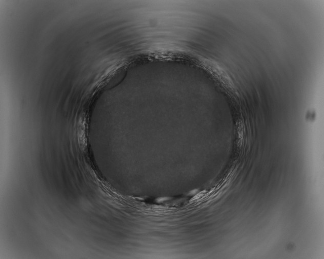 X0000099551060200806061511